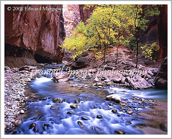 450537   River of beauty in the Zion Narrows